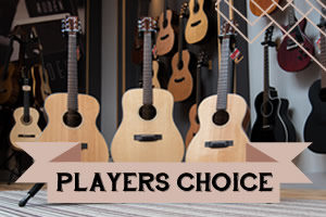 Players Choice range of Auden Guitars - front page graphic