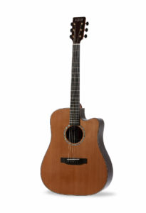 Auden Colton Spruce Cutaway acoustic guitar front image
