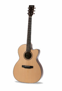 Chester Spruce Cutaway acoustic guitar front image