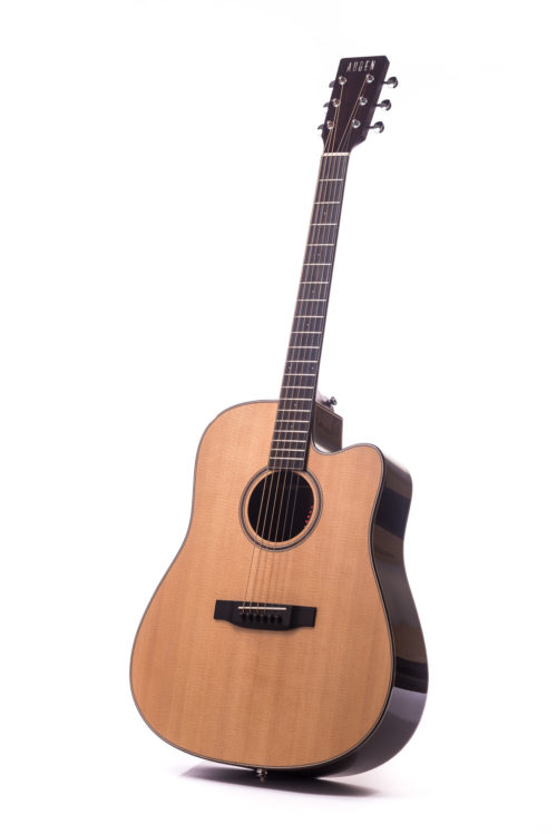Artist Rosewood Colton Spruce Cutaway - front image
