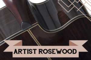 The artist Rosewood range from Auden Guitars